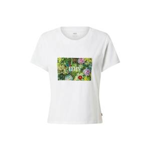 LEVI'S ® Tričko 'Graphic Surf Tee'  nefritová / trávovo zelená / fialová / svetločervená / biela