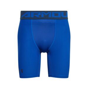 UNDER ARMOUR Športové nohavice  modrá / tmavomodrá