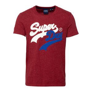 Superdry Tričko 'Source'  kráľovská modrá / červená melírovaná / biela