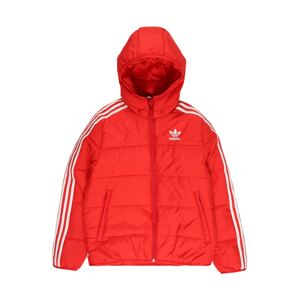 ADIDAS ORIGINALS Zimná bunda 'Adicolor'  červená / biela