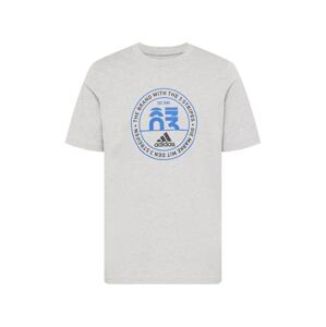 ADIDAS SPORTSWEAR Funkčné tričko 'Basics Emblem Graphic'  modrá / sivá melírovaná / čierna