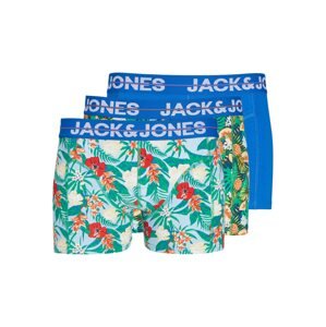 JACK & JONES Boxerky 'PINEAPPLE'  modrá / svetlomodrá / zelená / svetločervená