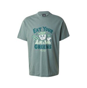Iriedaily Tričko 'Eat Greens'  smaragdová / nefritová / svetlozelená / biela