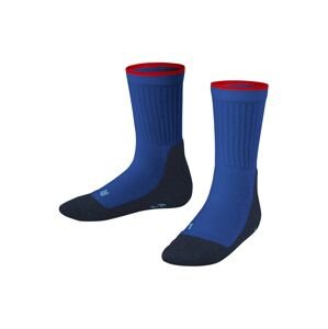 FALKE Ponožky  modrá / námornícka modrá / červená