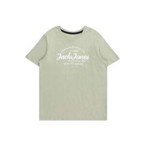 Jack & Jones Junior Tričko 'FOREST'  pastelovo zelená / biela