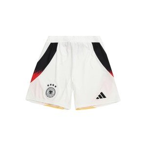 ADIDAS PERFORMANCE Športové nohavice 'DFB 24'  žltá / červená / čierna / biela