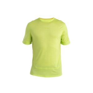 ICEBREAKER Funkčné tričko 'Energy Wind'  zelená melírovaná