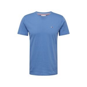Tommy Jeans Tričko  modrá / námornícka modrá / svetlozelená / šedobiela
