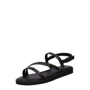 ALDO Remienkové sandále 'NYDALINWAN'  čierna / strieborná