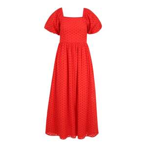 Selected Femme Tall Šaty 'ANELLI'  ohnivo červená