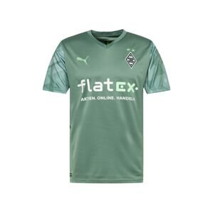PUMA Dres 'Borussia Mönchengladbach'  zelená / svetlozelená / čierna / biela