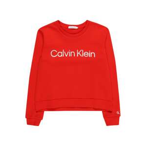 Calvin Klein Jeans Mikina  sivá / červená