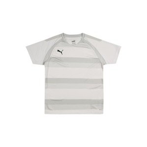 PUMA Funkčné tričko 'Teamvision'  sivá / sivobéžová / svetlosivá / čierna