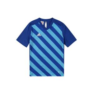 ADIDAS PERFORMANCE Funkčné tričko 'Entrada 22 Graphic'  modrá / svetlomodrá / biela