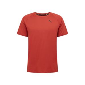 PUMA Funkčné tričko  hrdzavo červená / čierna