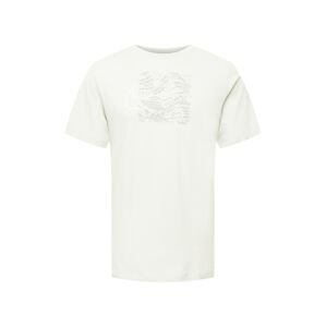 NIKE Funkčné tričko 'RUN DIVISION'  sivá / biela / prírodná biela
