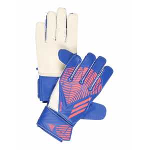 ADIDAS PERFORMANCE Športové rukavice 'PRED'  modrá / ružová / biela
