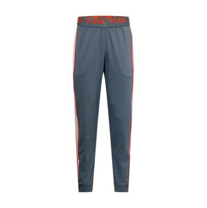 PUMA Športové nohavice  sivá / svetlosivá / červená