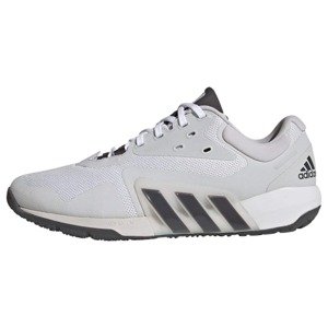 ADIDAS SPORTSWEAR Športová obuv 'Dropset'  svetlosivá / čierna / biela