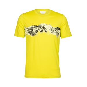 ICEBREAKER Funkčné tričko  žltá / zmiešané farby