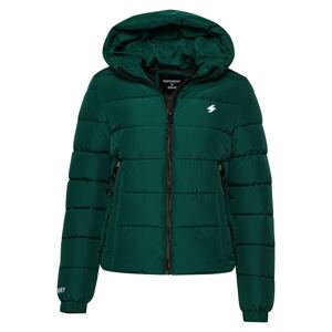 Superdry Zimná bunda  zelená