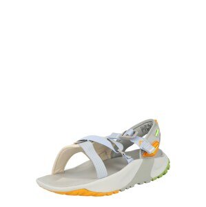 Nike Sportswear Sandále 'ONEONTA SANDAL'  piesková / svetlosivá