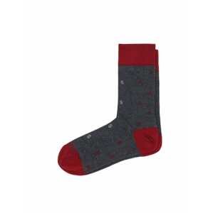 Scalpers Ponožky  sivá / mätová / tmavočervená
