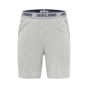JACK & JONES Nohavice 'CAXEL'  modrá / námornícka modrá / sivá / sivá melírovaná