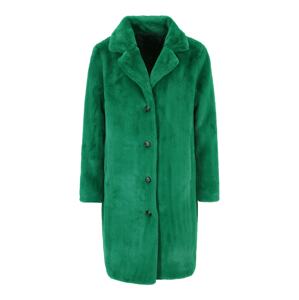 OAKWOOD Zimný kabát 'CYBER'  zelená