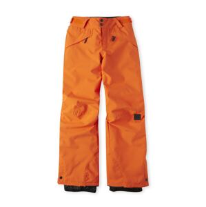 O'NEILL Outdoorové nohavice 'Anvil'  zmiešané farby / oranžová