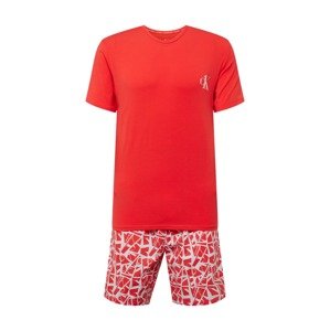 Calvin Klein Underwear Krátke pyžamo 'ODSY'  svetlosivá / červená