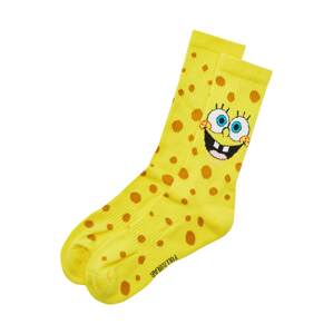Pull&Bear Ponožky  modrozelená / karamelová / žltá / biela