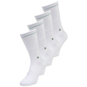 Albert Schäfer Ponožky  svetlozelená / biela
