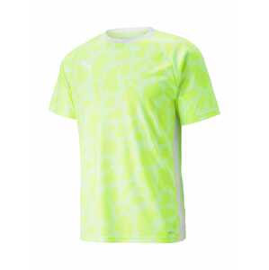 PUMA Funkčné tričko 'TeamLIGA'  pastelovo zelená / svetlozelená / biela