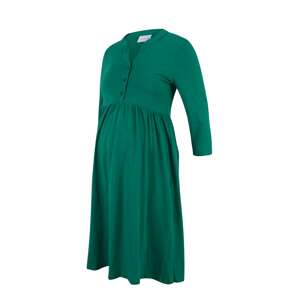MAMALICIOUS Košeľové šaty 'Evi Lia'  smaragdová