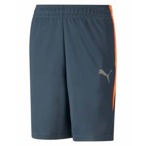 PUMA Športové nohavice 'Active Sports'  dymovo modrá / petrolejová / oranžová