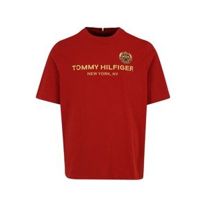 Tommy Hilfiger Big & Tall Tričko  tmavomodrá / zlatá / červená / biela