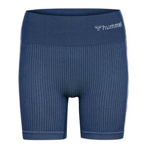 Hummel Športové nohavice 'Blaze'  modrosivá / biela
