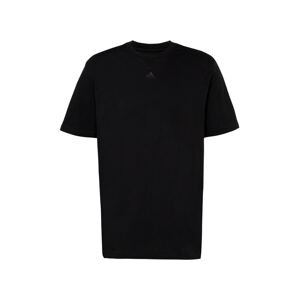 ADIDAS SPORTSWEAR Funkčné tričko 'All Szn'  antracitová / čierna