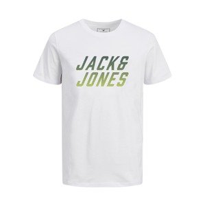 Jack & Jones Junior Tričko 'HAAK'  svetlozelená / tmavozelená / biela