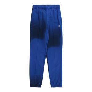 ADIDAS SPORTSWEAR Športové nohavice  námornícka modrá / kobaltovomodrá