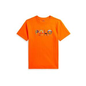 Polo Ralph Lauren Tričko  modrá / žltá / oranžová / červená