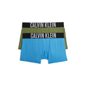 Calvin Klein Underwear Nohavičky 'Intense Power'  modrá / zelená / čierna / biela