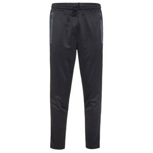 Spyder Športové nohavice  zmiešané farby / čierna