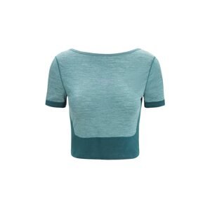 ICEBREAKER Funkčné tričko  smaragdová / zelená melírovaná / pastelovo fialová