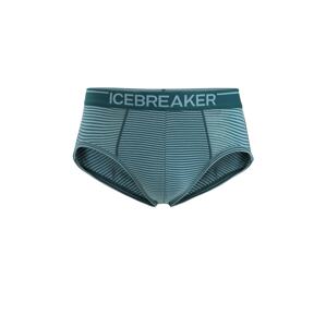 ICEBREAKER Športové nohavičky 'Anatomica'  pastelovo zelená / tmavozelená