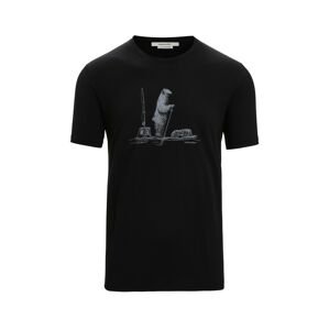 ICEBREAKER Funkčné tričko 'Tee Polar Paddle'  svetlosivá / čierna