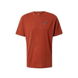 HELLY HANSEN Funkčné tričko 'SKOG'  zmiešané farby / hrdzavo červená