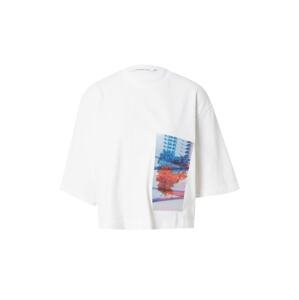 Calvin Klein Jeans Tričko 'MOTION'  svetlomodrá / homárová / biela