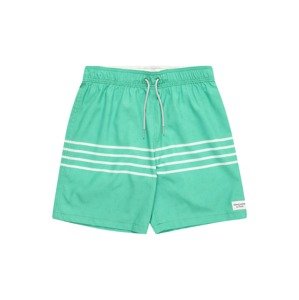 Abercrombie & Fitch Plavecké šortky  zelená / šedobiela